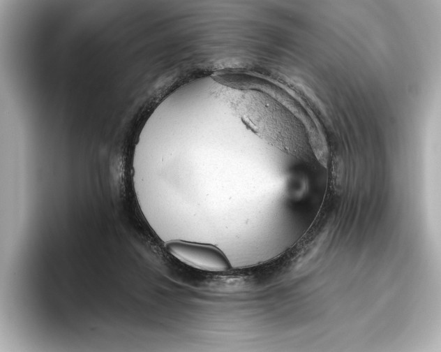 X0000096950260200802221328