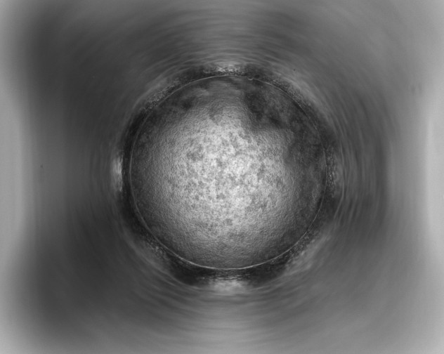 X0000096950262200802221328