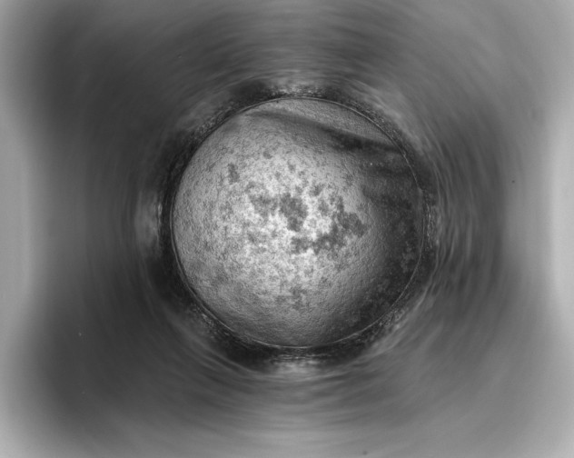 X0000096950263200802221328