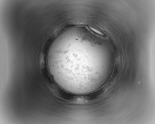 X0000096950264200802221328