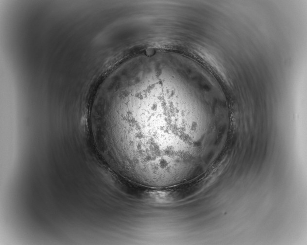 X0000096950265200802221328
