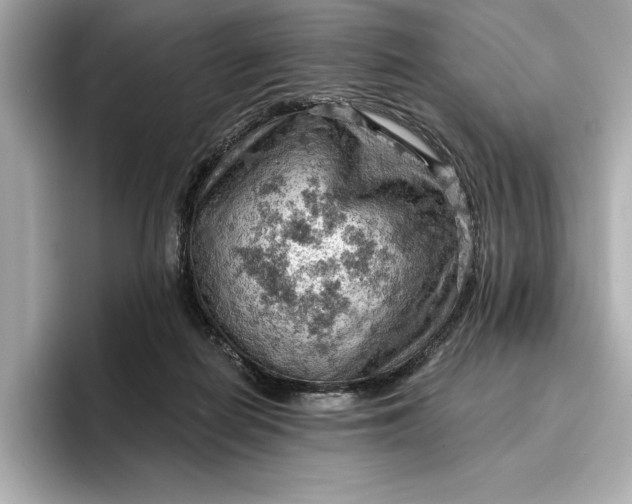 X0000096950266200802221328