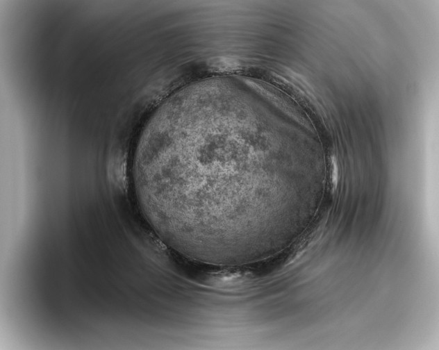 X0000096950267200802221328