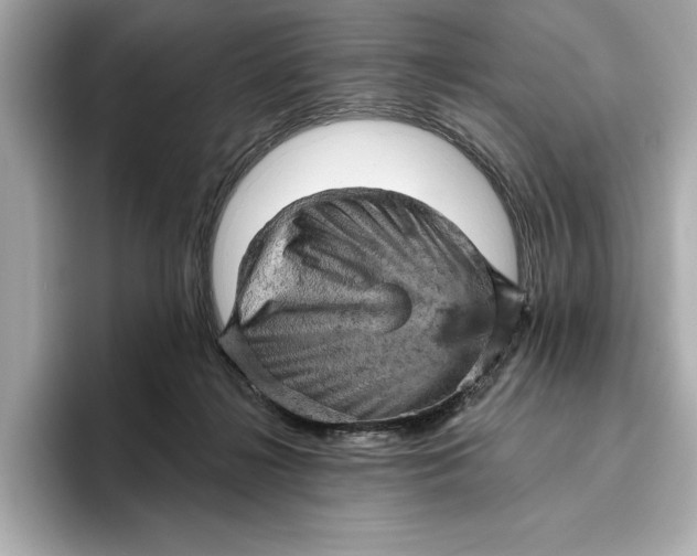 X0000096950268200802221328