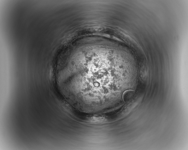 X0000096950270200802221328