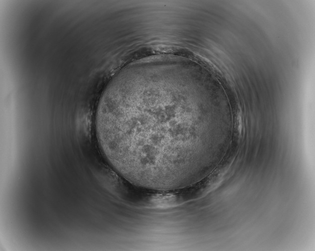 X0000096950271200802221328