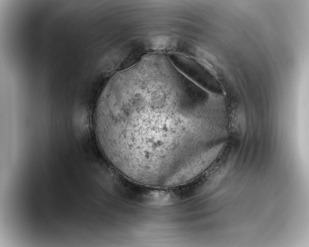 X0000096950272200802221328