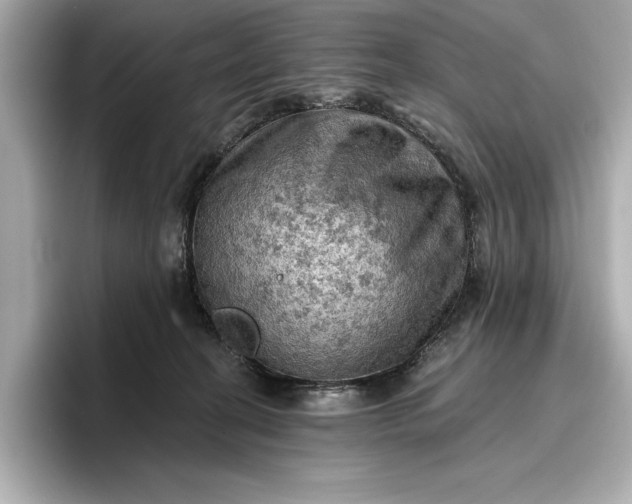 X0000096950274200802221328
