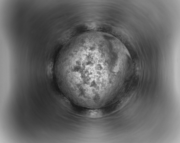 X0000096950275200802221328