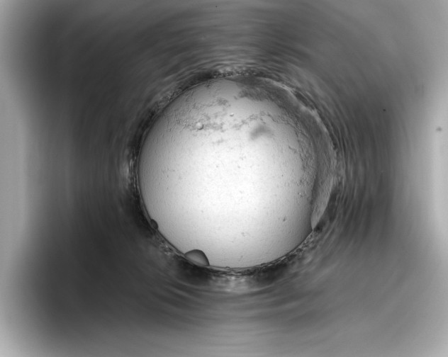 X0000096950276200802221328