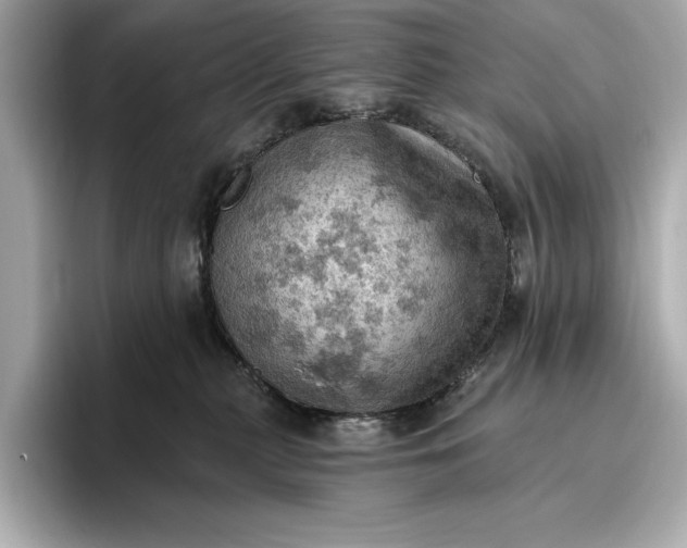 X0000096950279200802221328