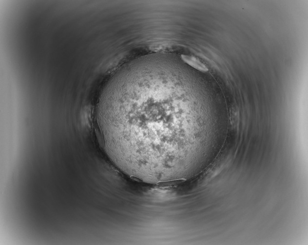 X0000096950280200802221328