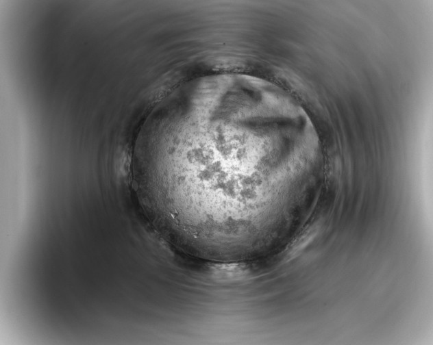 X0000096950281200802221328