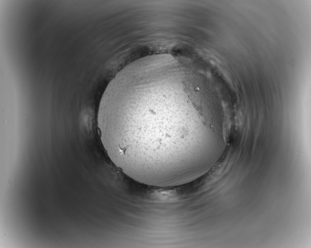 X0000096950283200802221328