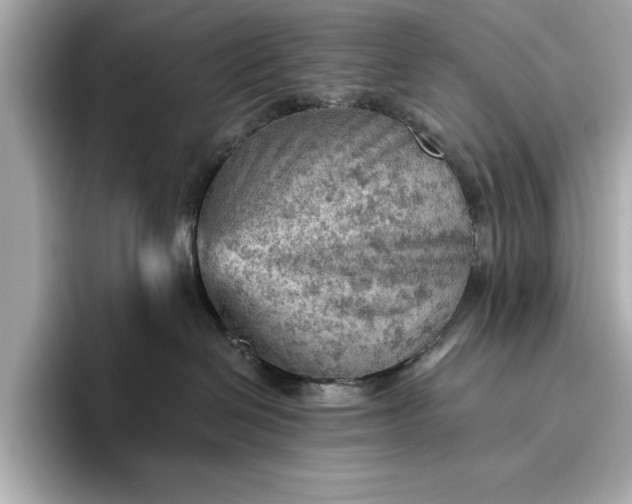 X0000096950286200802221328