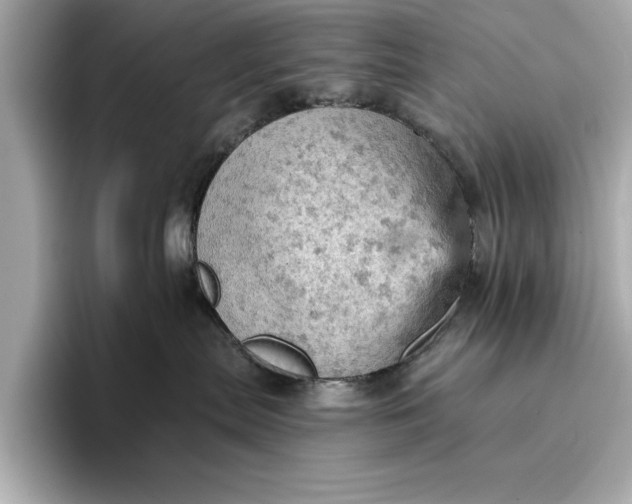 X0000096950287200802221328