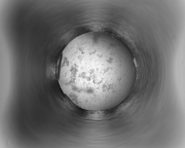 X0000096950288200802221328