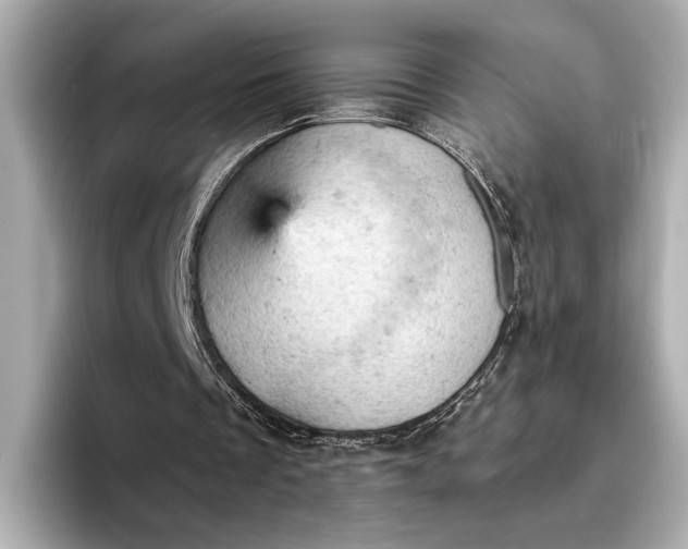 X0000096950289200802221328