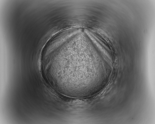 X0000096950290200802221328