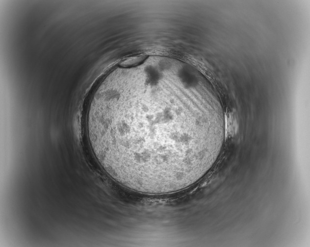 X0000096950291200802221328
