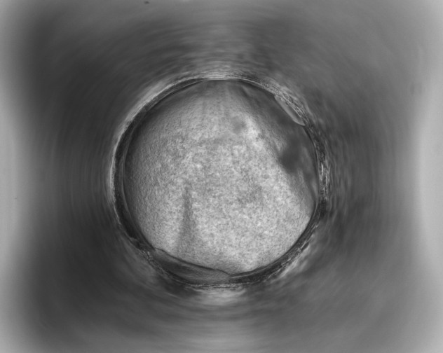 X0000096950292200802221328