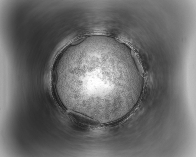 X0000096950293200802221328