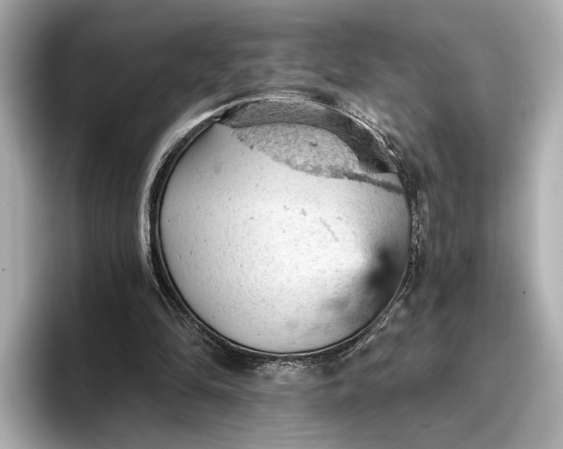 X0000096950294200802221327