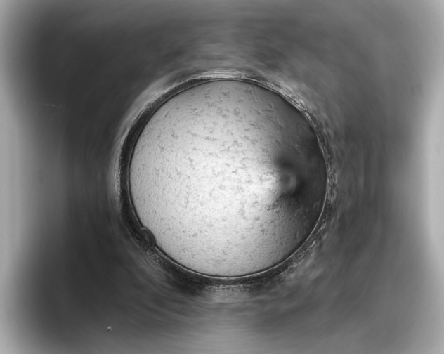 X0000096950296200802221327
