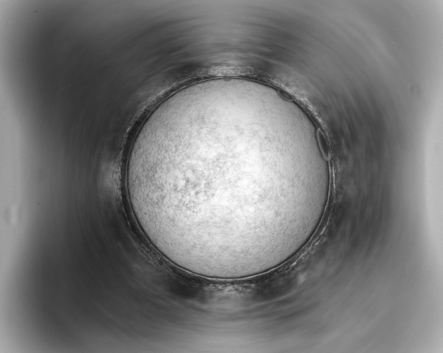 X0000096950297200802221327