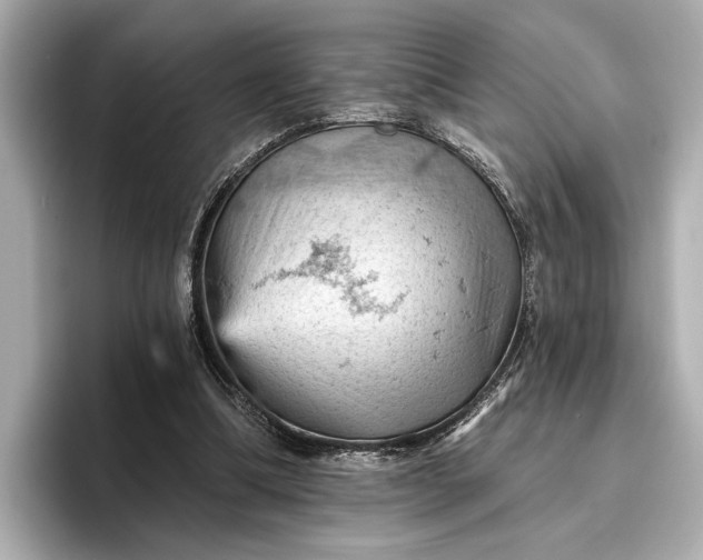 X0000096950298200802221327