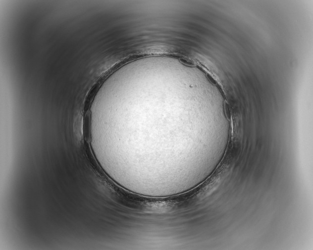 X0000096950301200802221327