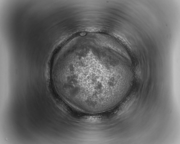 X0000096950303200802221327