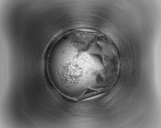 X0000096950304200802221327