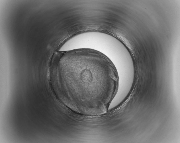 X0000096950305200802221327
