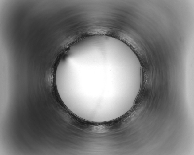 X0000096950309200802221327