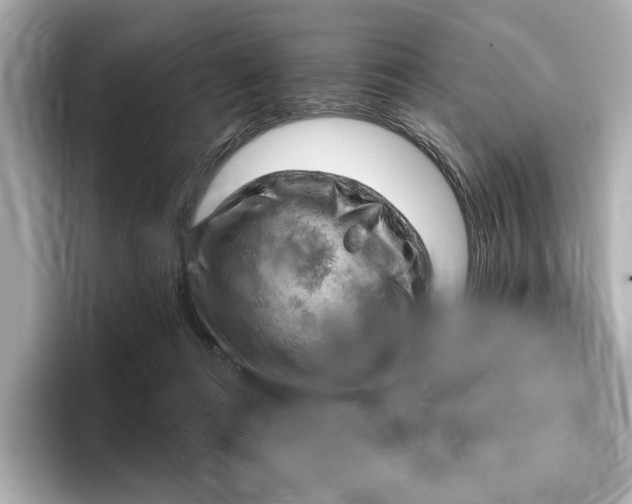 X0000096950312200802221327