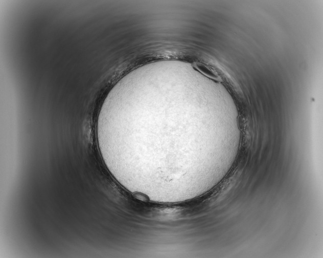 X0000096950313200802221327