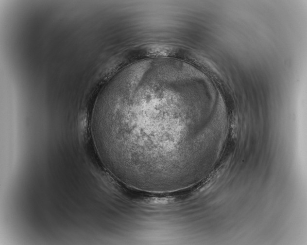 X0000096950314200802221327