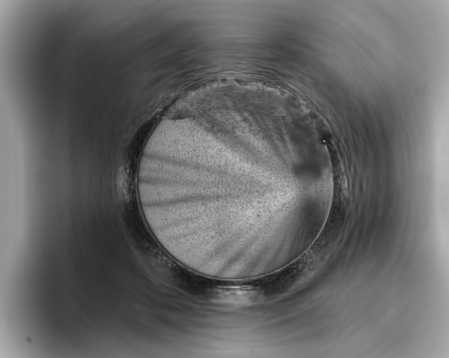 X0000096950316200802221327