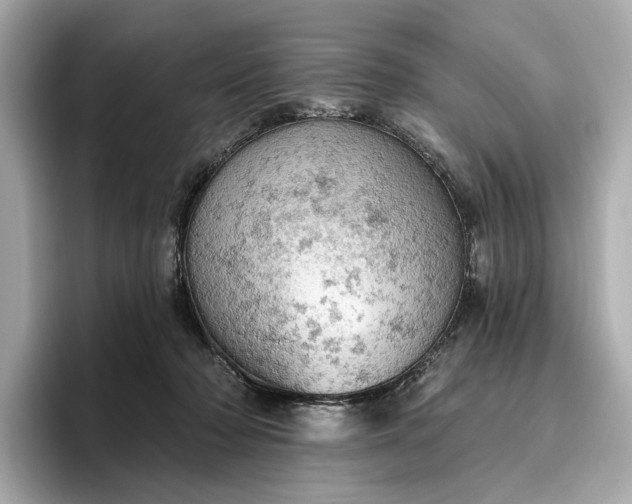 X0000096950318200802221327