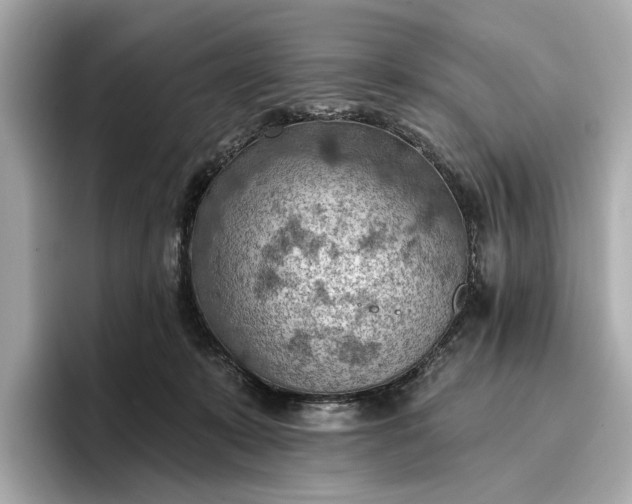 X0000096950319200802221327