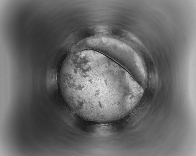 X0000096950320200802221327