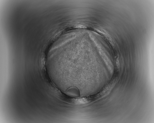 X0000096950322200802221327