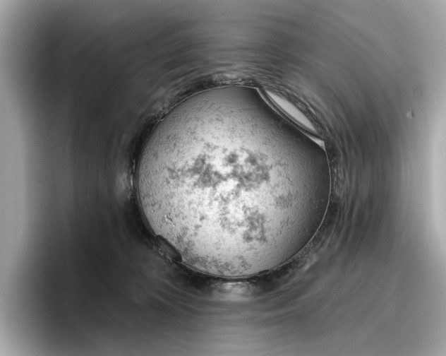 X0000096950324200802221327