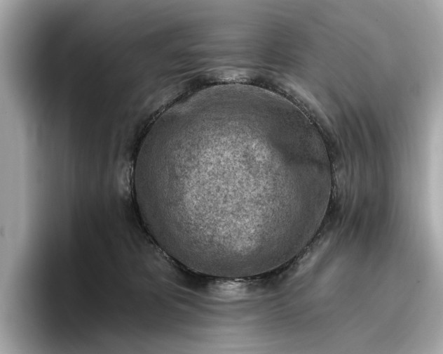 X0000096950325200802221327