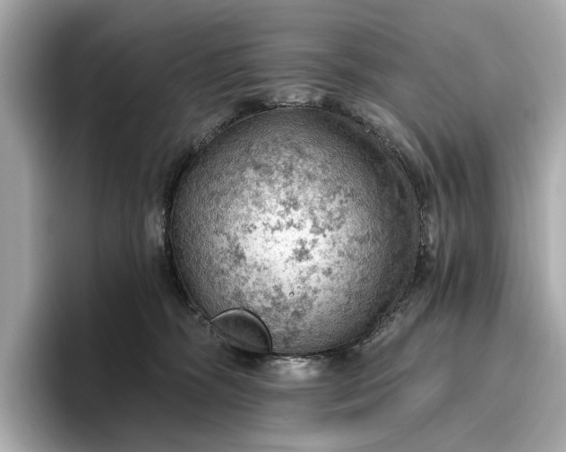 X0000096950326200802221327