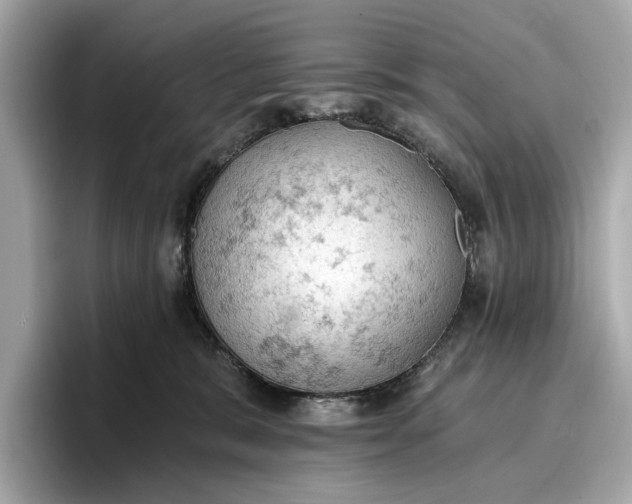 X0000096950327200802221327