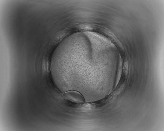 X0000096950330200802221327