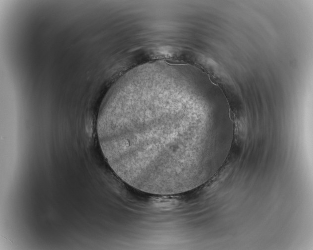 X0000096950331200802221327