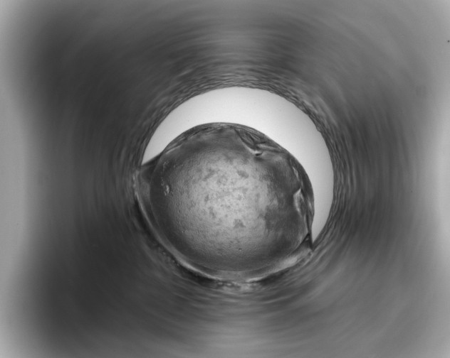 X0000096950332200802221327
